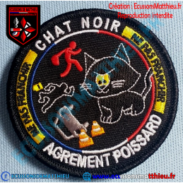 Chat Noir Poissard